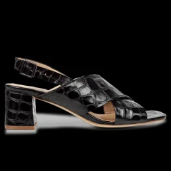 Best Angulus 5568-101 Sandal, , 38 Black Croco