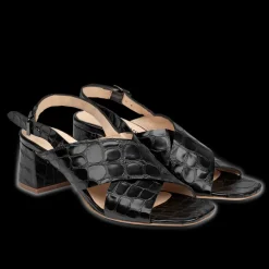 Best Angulus 5568-101 Sandal, , 38 Black Croco