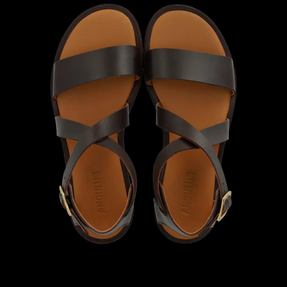 Best Angulus 5442-119 Sandaler, , 38 Dark Brown