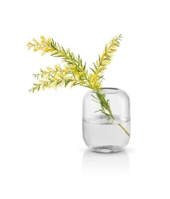 Online Eva Solo Acorn Vase, , 16,5 cm Klar
