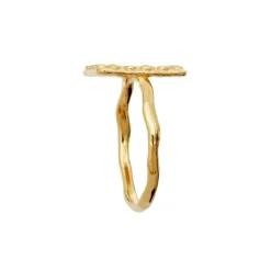 New Maanesten Aida Ring, , 57 Gold Plated