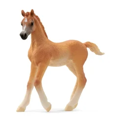 Schleich Araberføl*Børn Legetøjsfigurer & Klodser