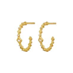 Online Maanesten Arlette Øreringe, Gold Plated