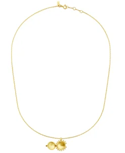 Maanesten Beloved Halskæde, , 42+3 cm*Dame Halskæder