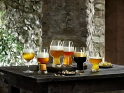 New Luigi Bormioli Birrateque 2-pak Ipa Ølglas, , 54 cl Klar