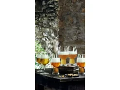 Best Luigi Bormioli Birrateque 2-pak Ølglas, , 42 cl Klar