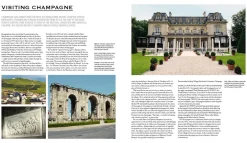 New Mags Champagne Wine Of Kings And the King of Wines