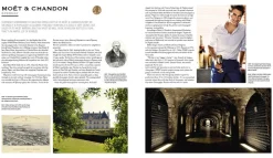 New Mags Champagne Wine Of Kings And the King of Wines
