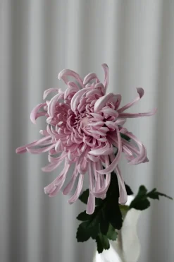 Outlet Bloom Objects Chrysanthemum Kunstig Blomst, Purple