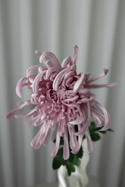 Outlet Bloom Objects Chrysanthemum Kunstig Blomst, Purple