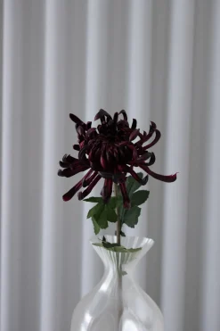 Bloom Objects Chrysanthemum Kunstig Blomst, Bordeaux