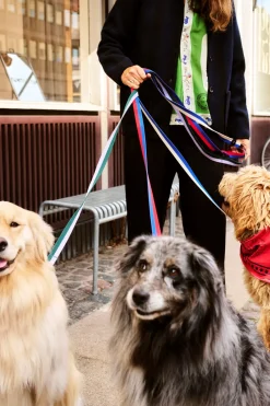 HAY Dog Flat Hundesnor,* Udstyr Til Kæledyr