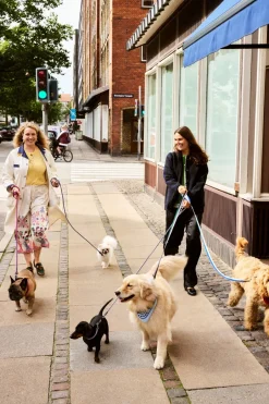 HAY Dog Flat Hundesnor,* Udstyr Til Kæledyr