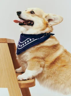 HAY Dog Hundetørklæde,* Udstyr Til Kæledyr