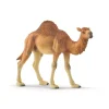 Online Schleich Dromedar