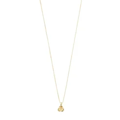 Pilgrim Echo Halskæde, , 40+12 cm Gold Plated