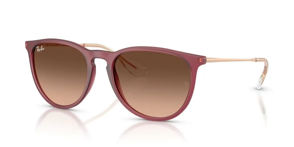 Ray Ban Erika Classic Solbriller,*Dame Solbriller|Solbriller