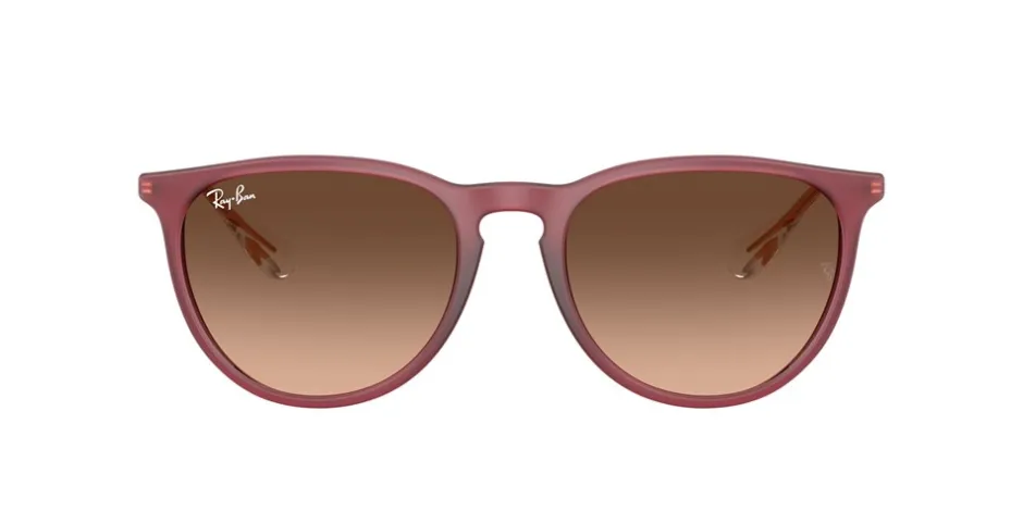 Ray Ban Erika Classic Solbriller,*Dame Solbriller|Solbriller