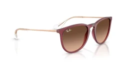Ray Ban Erika Classic Solbriller,*Dame Solbriller|Solbriller