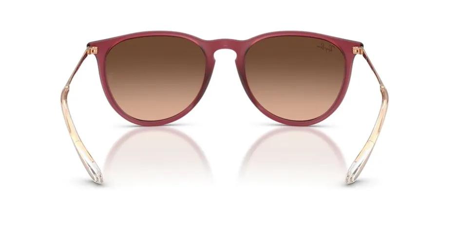 Ray Ban Erika Classic Solbriller,*Dame Solbriller|Solbriller