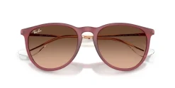 Ray Ban Erika Classic Solbriller,*Dame Solbriller|Solbriller