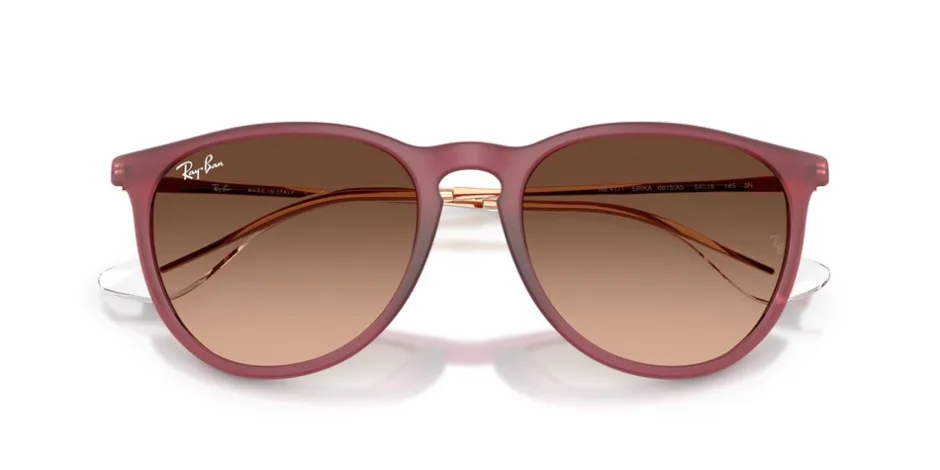 Ray Ban Erika Classic Solbriller,*Dame Solbriller|Solbriller