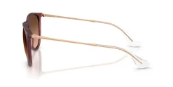 Ray Ban Erika Classic Solbriller,*Dame Solbriller|Solbriller