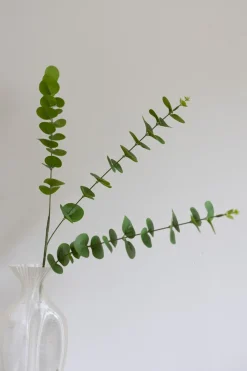 Online Bloom Objects Eucalyptus Kunstig Blomst, Green