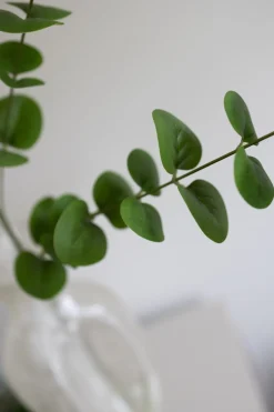 Online Bloom Objects Eucalyptus Kunstig Blomst, Green