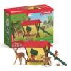 Discount Schleich Fodring Af Skovens Dyr