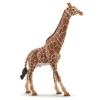 Sale Schleich Giraftyr