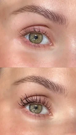Hot Sandstone Grand Danois Mascara, Black Sort
