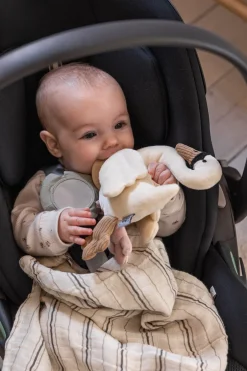 Sebra Hængende Svane Aktivitetslegetøj*Børn Babylegetøj