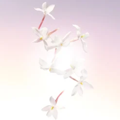 Lancôme Idôle Eau De Parfum, 25 ml* Eau De Parfum|Dufte