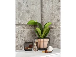 Clearance Zone Inu Bordkurv, Black