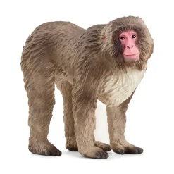 Schleich Japansk Makak-Abe*Børn Legetøjsfigurer & Klodser