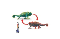 Online Schleich Kamelæon