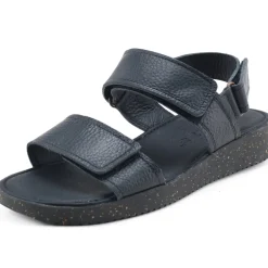Nature Karen Sandaler, , 38*Dame Sandaler