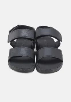Nature Karen Sandaler, , 38*Dame Sandaler