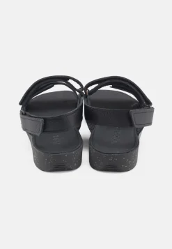 Nature Karen Sandaler, , 38*Dame Sandaler