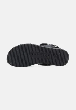 Nature Karen Sandaler, , 38*Dame Sandaler