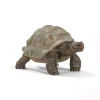 Discount Schleich Kæmpeskildpadde