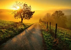 Sale Ravensburger Landscape In Morning Sun Puslespil