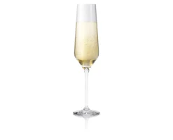 Best Eva Trio Legio Nova 6-pak Champagneglas, , 26 cl Klar