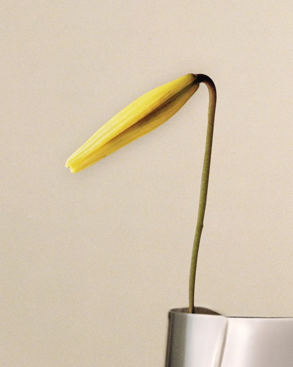 Outlet Georg Jensen Lituus Vase, Stainless Steel