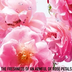 Clearance Dior Miss Rose N'Roses, 50 ml