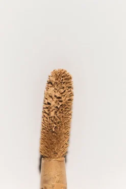 Miild Natural Liquid Concealer, 01 Wind