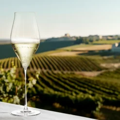 Discount Holmegaard Notes 2-pak Champagneglas, , 38 cl Klar