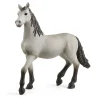 Schleich Pura Raza Espanola Unghest*Børn Legetøjsfigurer & Klodser