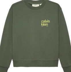 Hot Calvin Klein Relaxed Back Print Sweatshirt, , 152 cm Thyme